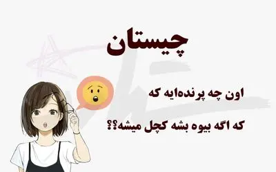 چیستان فکری؛ اون چه پرنده‌ ایه که اگه بیوه بشه کچل میشه؟؟