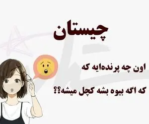 چیستان فکری؛ اون چه پرنده‌ ایه که اگه بیوه بشه کچل میشه؟؟