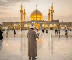 تجربه سفر با تور مشهد