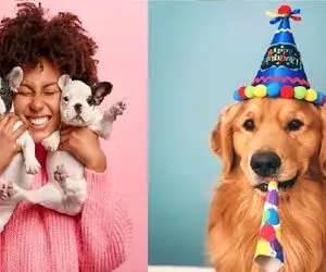 لباس های ترند 2024 حیوانات خانگی؛ اینارو منم دوست داشتم تو کمدم داشته باشم