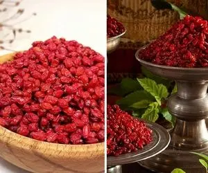 نحوه نگهداری از زرشک در خانه / نکات مهم برای جلوگیری از سیاه شدن زرشک