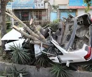 (عکس) وضعیت عجیب پراید پس از تصادف با درخت!