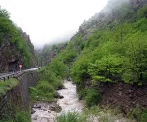 اطراف کرج کجا بریم؟ چشمه وله جاده چالوس یه جای جذاب و دیدنی