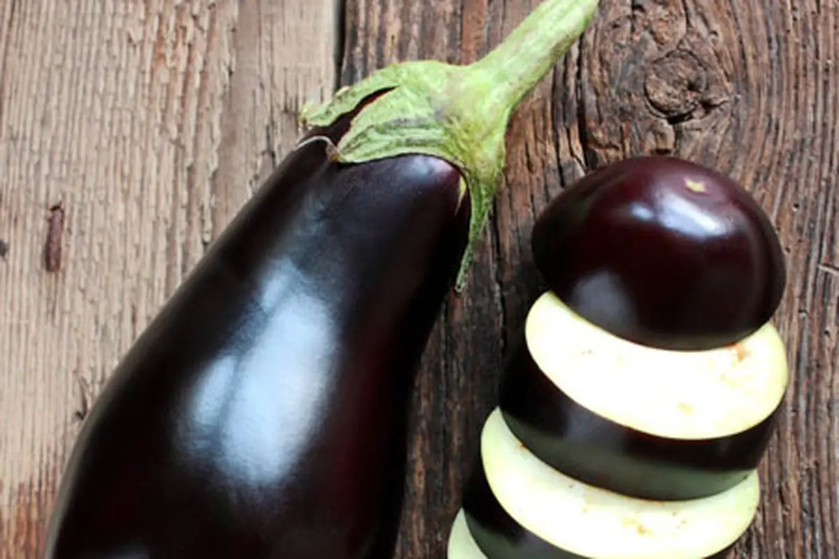 ecognize-sweet-eggplant-1