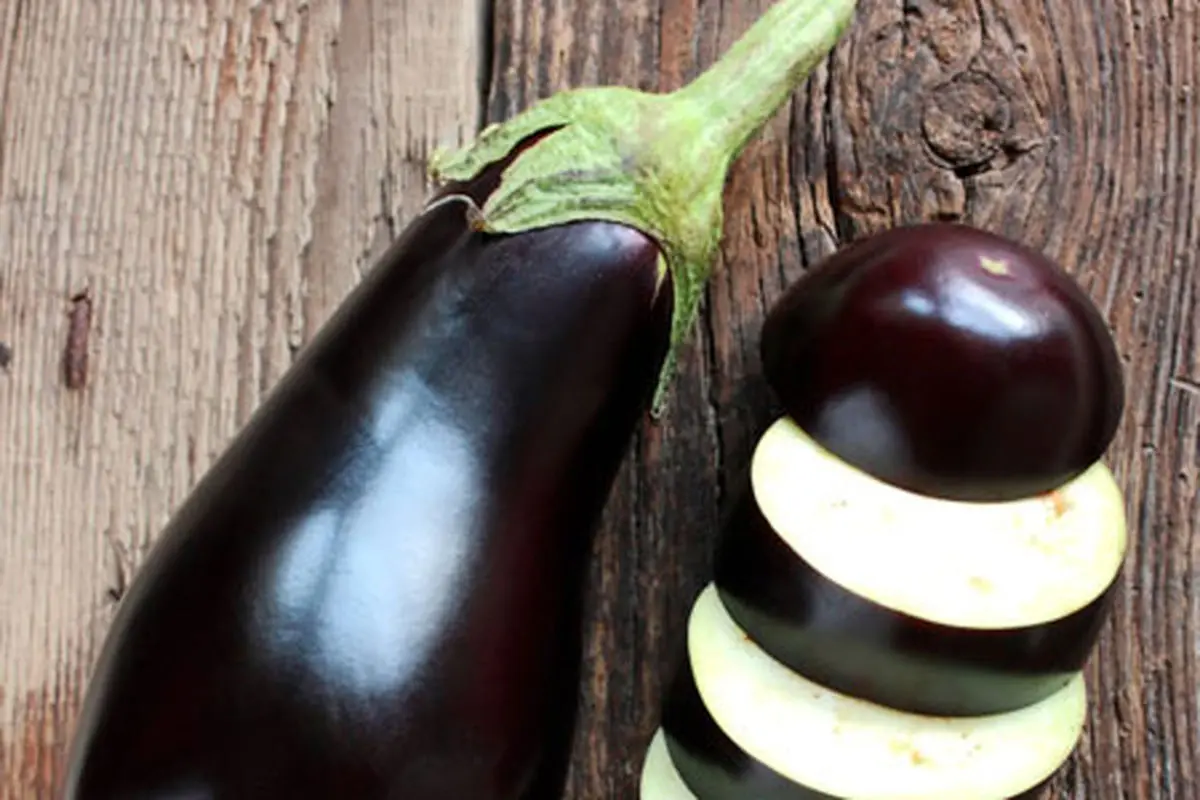 ecognize-sweet-eggplant-1