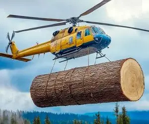 جابه جایی جانکاه؛ بید مجنون 100000 تنی و با هلیکوپتر حمل کرد آخرش هم سقوط کرد