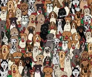 بازی فکری؛ آیا میتونید سگ بازیگوشی که سوسیس دزدیده را پیدا کنید؟