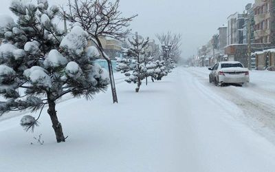 تهران قرار است نیم متر برف ببارد؟
