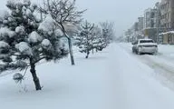تهران قرار است نیم متر برف ببارد؟