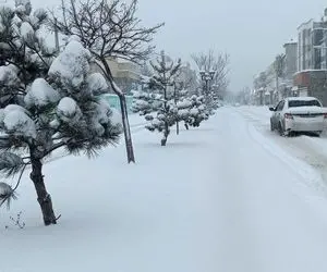 تهران قرار است نیم متر برف ببارد؟