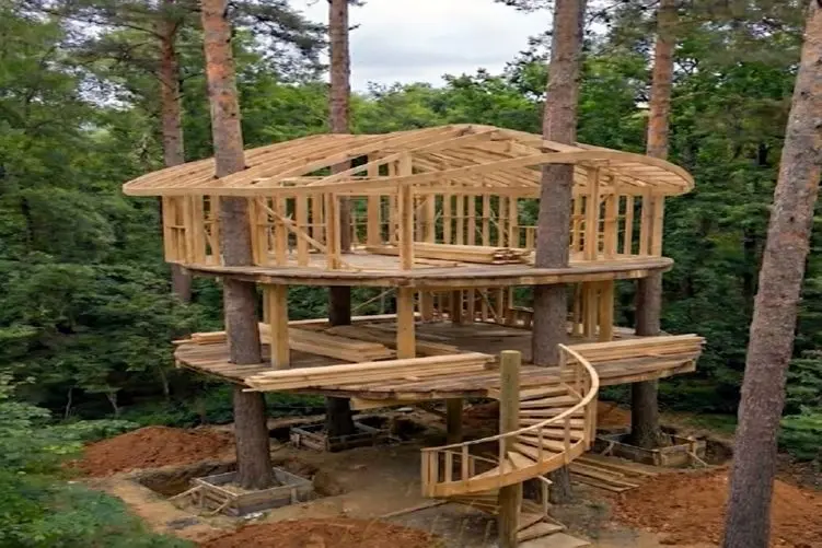 معماری خلاقانه؛ هر چی خونه درختی تا حالا دیدی بریز دور این آسه آس