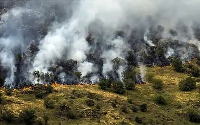 آتش‌سوزی به جنگل‌های الیت چالوس خسارت زد