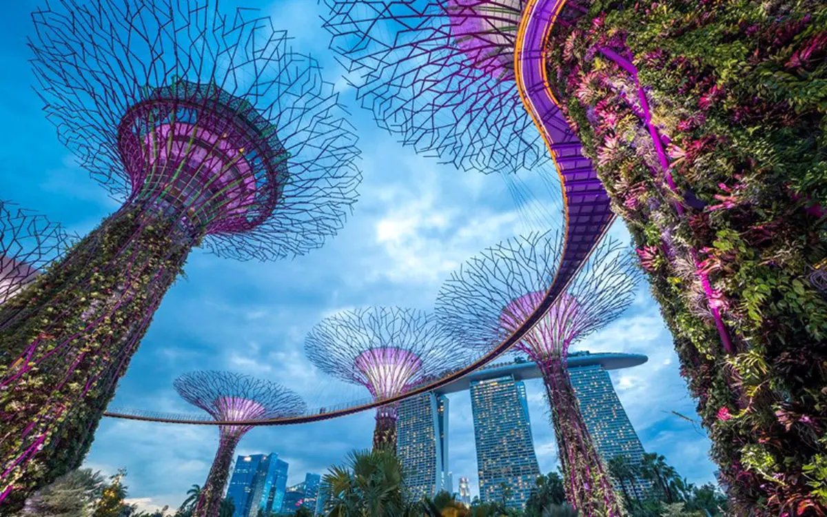 تور سنگاپور