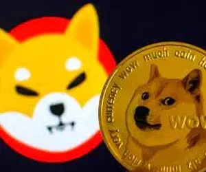 بالاخره شیبااینو و دوج کوین بخریم یانه؟!