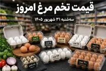 قیمت تخم مرغ امروز سه شنبه 31 شهریور 1405 / یک شانه چند؟