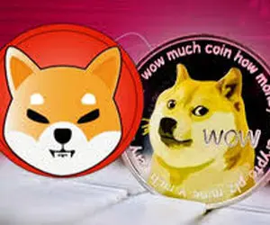 پیش‌بینی قیمت شیبا و دوج کوین!