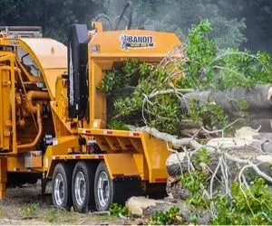 ابزار آلات غول پیکر؛ برای کشتن پیتون درخت و از ریشه میکنن میندازن تو دستگاه پودر شه