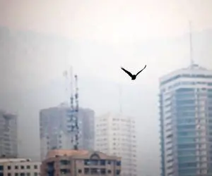  امروز و فردا در خانه بمانید؛ تهران تعطیل می شود؟