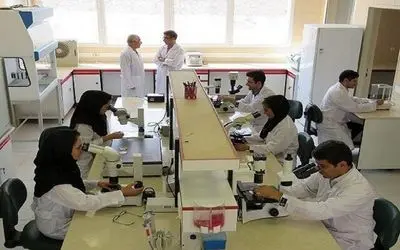 دانشجویان دکتری در دو طرح حمایتی چگونه ثبت نام کنند؟