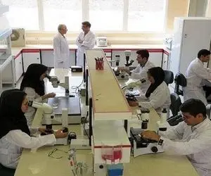 دانشجویان دکتری در دو طرح حمایتی چگونه ثبت نام کنند؟