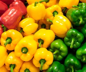 (ویدئو) سرنوشت میوه‌های صادراتی برگشت خورده چه شد؟