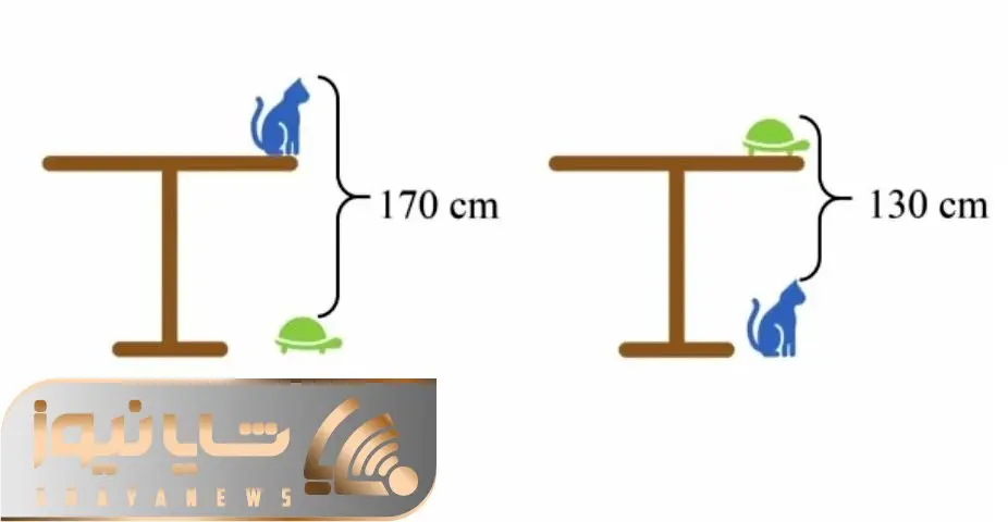 بازی فکری؛ اگه خدای ریاضی هستی و مریم میرزاخانی ثانی ارتفاع میز رو بگو چقدره؟