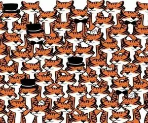 بازی فکری؛ 4 تا گوربه تو تصویره پیدا کن پیشده کن