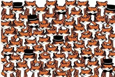 بازی فکری؛ 4 تا گوربه تو تصویره پیدا کن پیشده کن