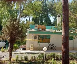 انتشار تصاویر هولناک جنازه مهرجویی در فضای مجازی!