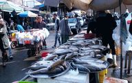 قیمت انواع ماهی امروز دوشنبه 12 مهر