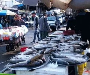 قیمت انواع ماهی امروز دوشنبه 12 مهر