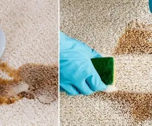 راهنمای تمیز کردن انواع لکه ها از روی فرش و موکت / ترفندهای سریع و موثر خونگی