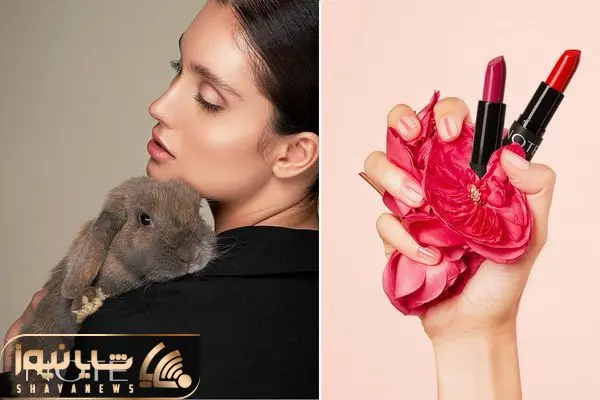 محصولات آرایشی نوت