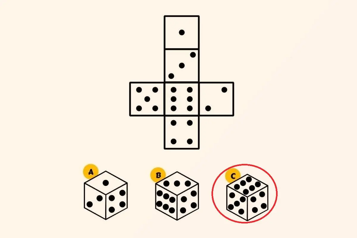 پاسخ-تست-هوش-نمای-درست-مکعب-تاس-1