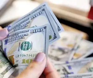 پیش بینی قیمت دلار ۱۷ دی ۱۴۰۳ / دلار میان دو کریدور سرگردان شد