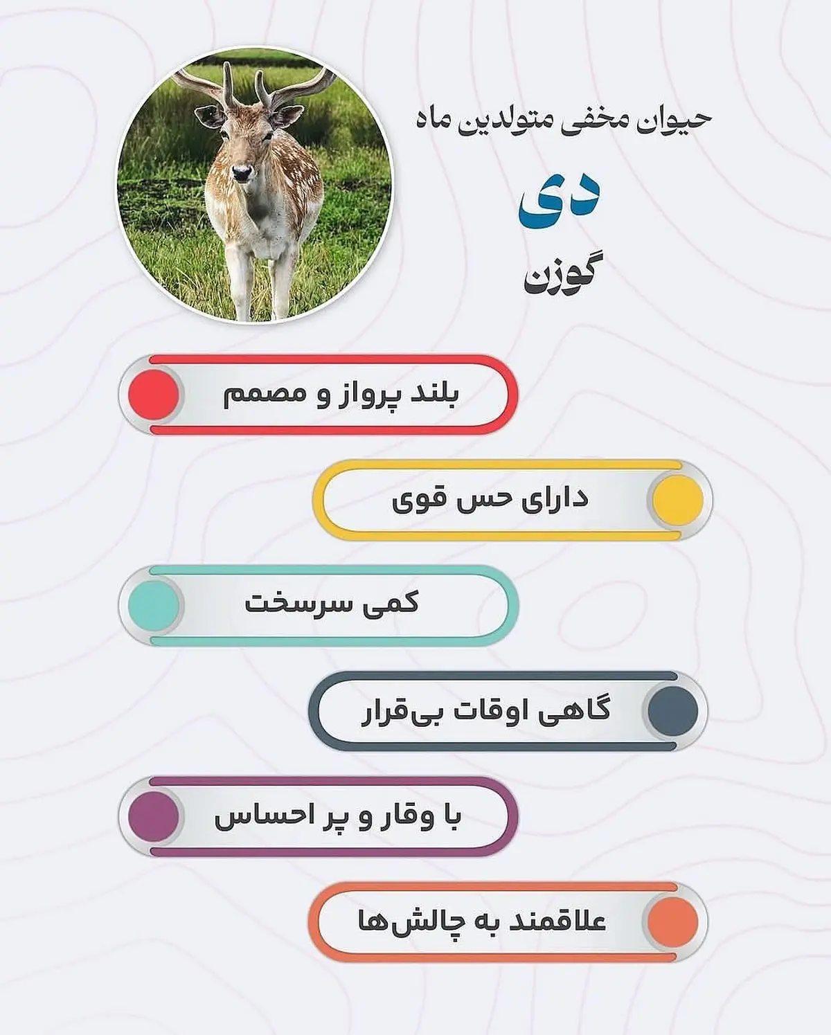 حیوان هر ماه