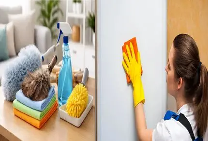 بهترین وسیله برای گردگیری؛ اینجوری واسه عید گردگیری کنی خونه ات نبات میشه