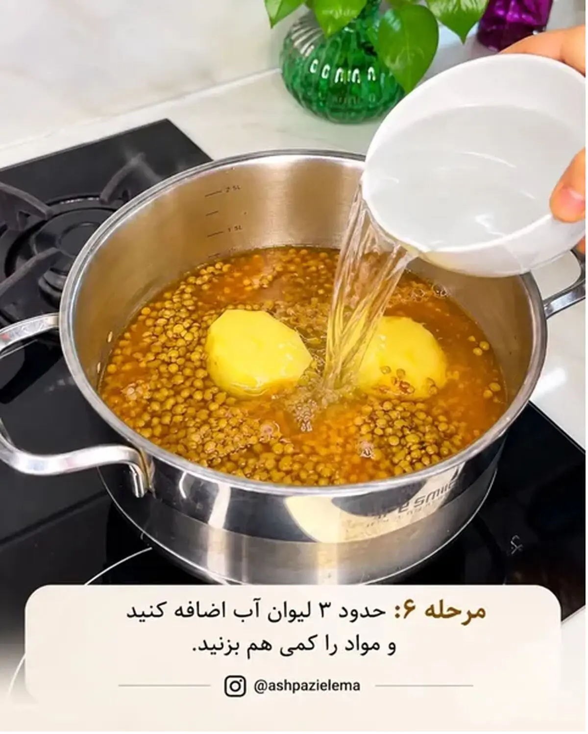 عدسی 6