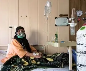 نذرکپسول به جای قربانی کردن گوسفند!