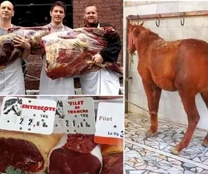 فرآوری گوشت اسب؛ از کشتن کمی ناجوانمردانه تا سلاخی و آماده سازی گوشت برای رستوران