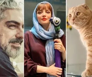 "بهنوش جون" بعد طلاق چه خوشگل تر شده؛ "نارنگیه خپل" جای آقای شوهر