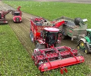 ماشین آلات غول؛ ماشینای مخصوص چیدن محصول که تو 60 دقیقه چند هزار هکتار رو درو میکنن