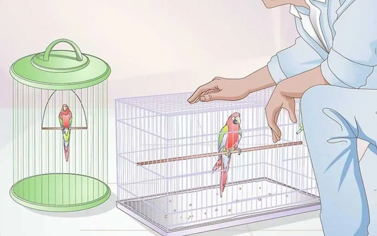 rectangular-cage-for-your-bird