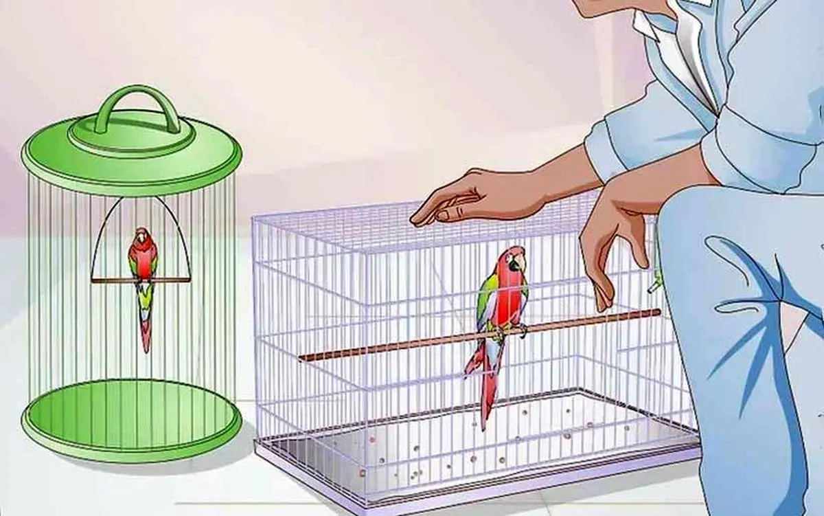 rectangular-cage-for-your-bird