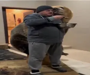 مستند کاوش؛ خرس نه تنها مرده رو نمیخوره قربونشم میره