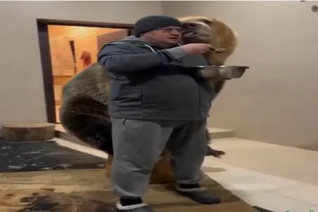 مستند کاوش؛ خرس نه تنها مرده رو نمیخوره قربونشم میره