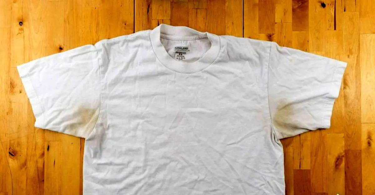 11zon_cropped-65-1-1024x533