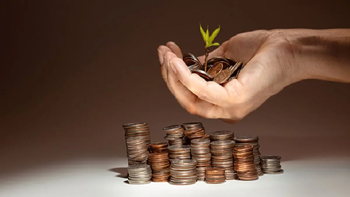 سرمایه گذاری در صندوق های سهامی - تصویر 1