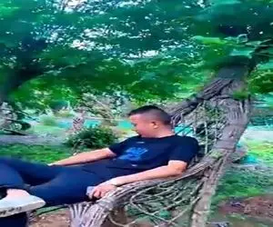 کشاورزی نوین؛ تنه ی درختو جوری بهم دوختن و گره زدن که هم صندلی بشه هم برگاش سایه بده