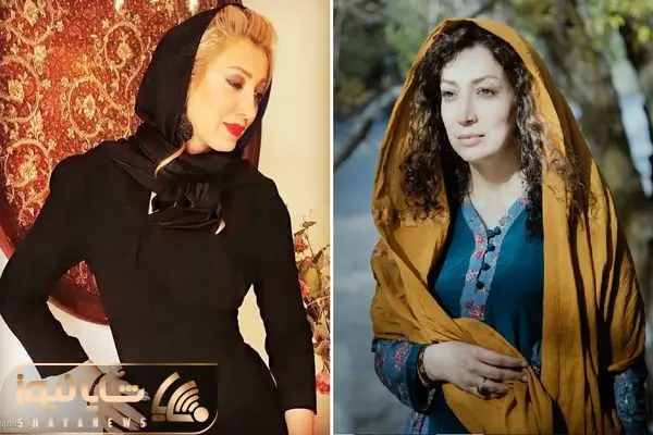 negar abedi shayanews